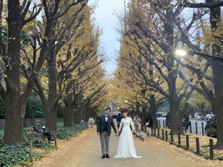 外苑前銀杏並木フォトツアー