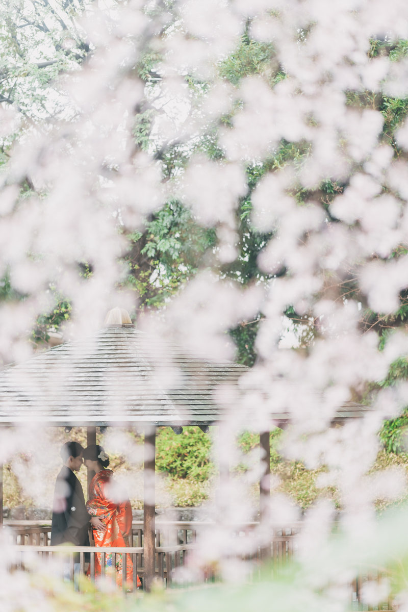 桜の向こうのお二人♡