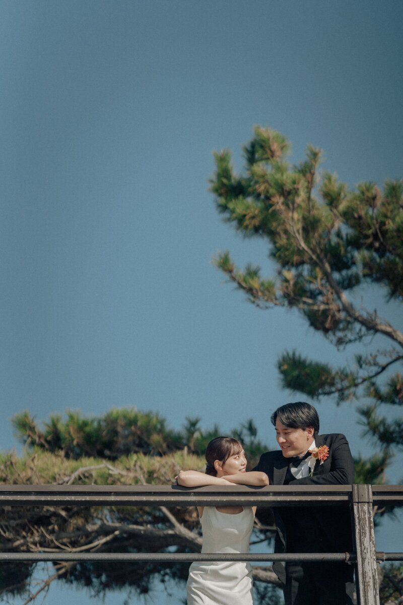 青空と木の組み合わせ♪