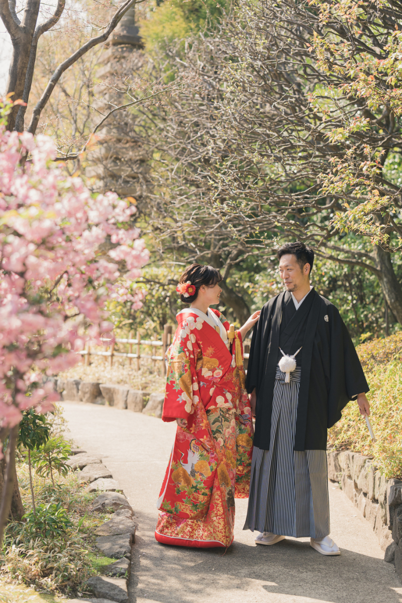 鮮やかな桜と色打掛のコントラスト