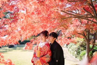 色鮮やかな紅葉の日本庭園ロケ