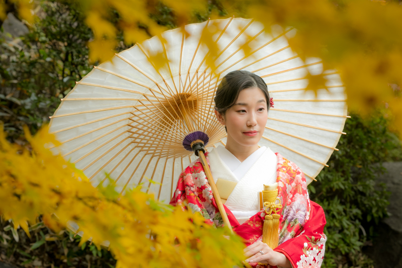 目白庭園は紅葉が見頃を迎えていました。