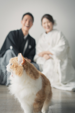 和装でかわいい猫ちゃんとのスタジオ撮影からロケ撮影へ！