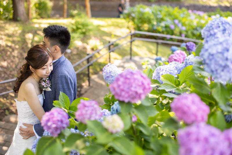 アジサイ咲く初夏の葛西臨海公園♪