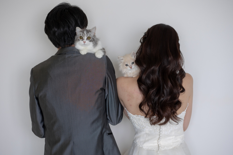 愛猫も一緒に♪あたたかな後ろ姿ショット
