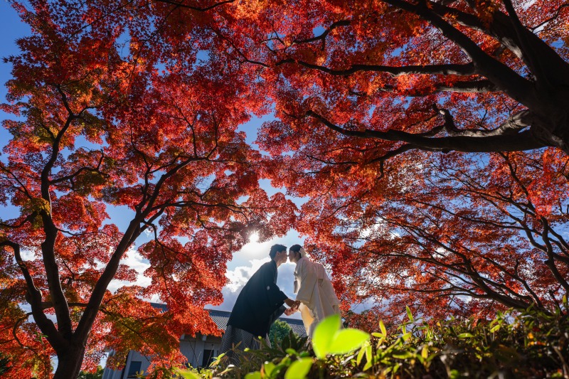 紅葉と笑顔の和装洋装撮影