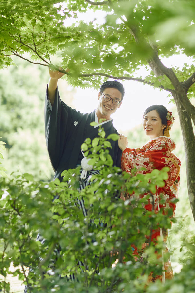 若葉に囲まれて。