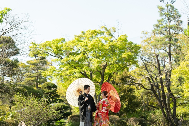 色とりどりの美しいショット