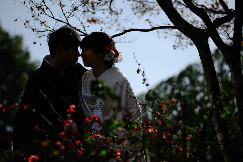 ローキーで切り取る