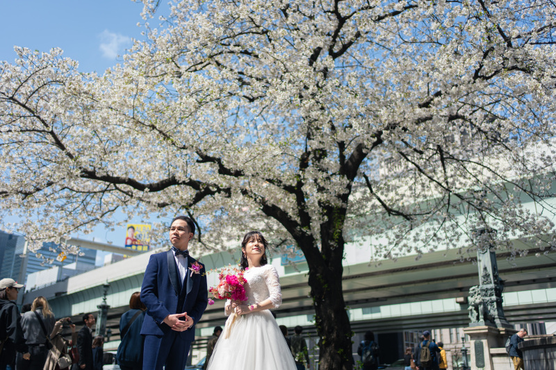 満開の桜の下で