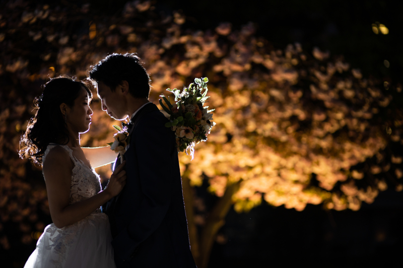 浮かび上がる八重桜