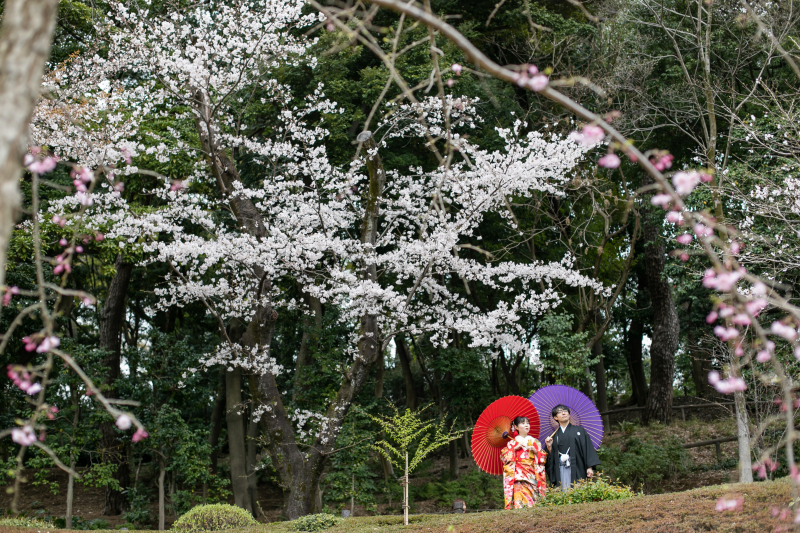 ソメイヨシノと八重桜の競演