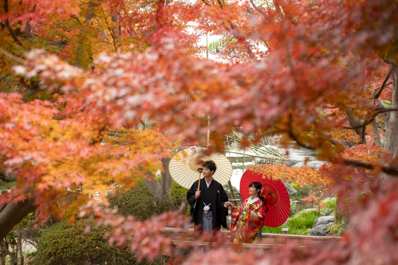 紅葉イルミネーション盛りだくさん撮影