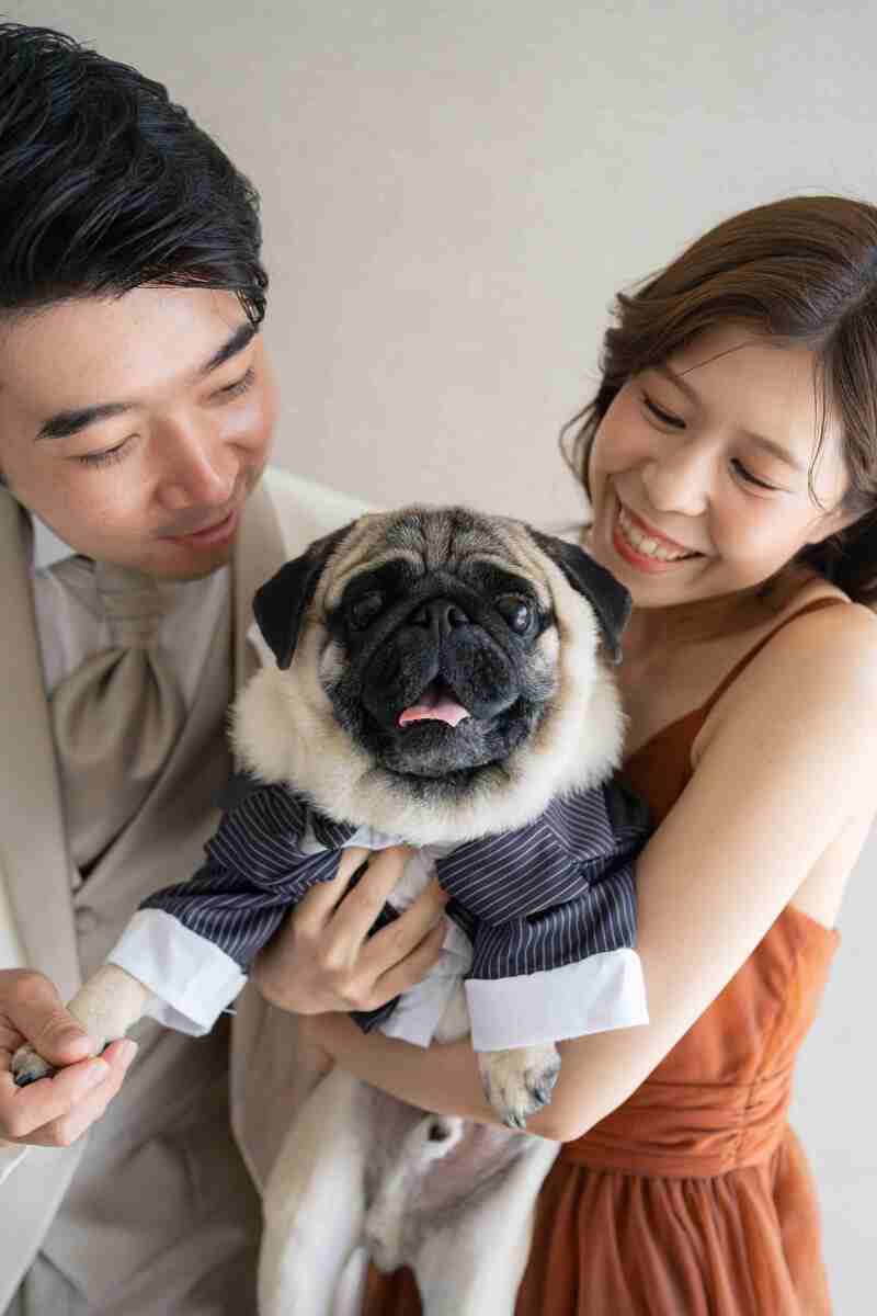 パグちゃんもタキシードを着て♪
