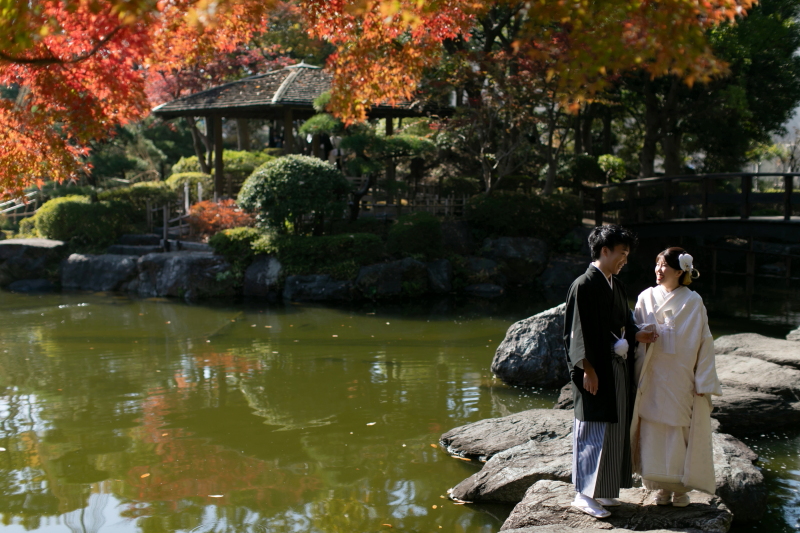 美しい紅葉と池と一緒に