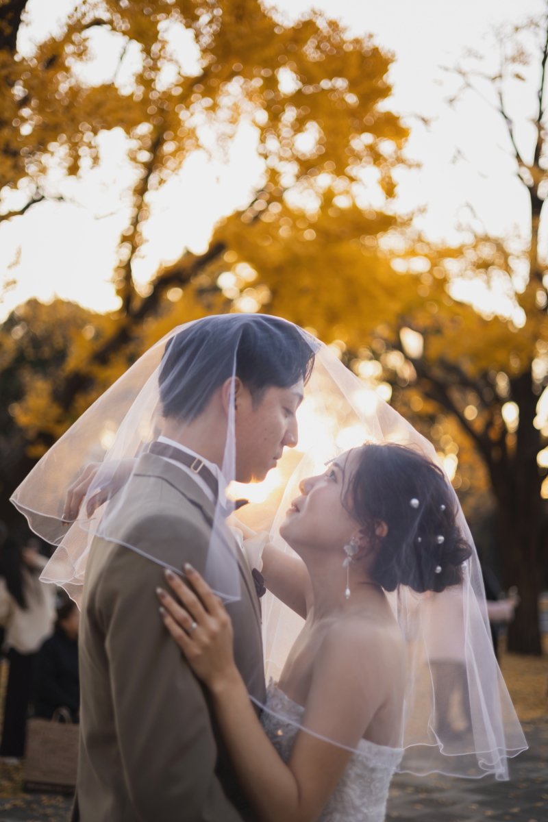 ベールを使って