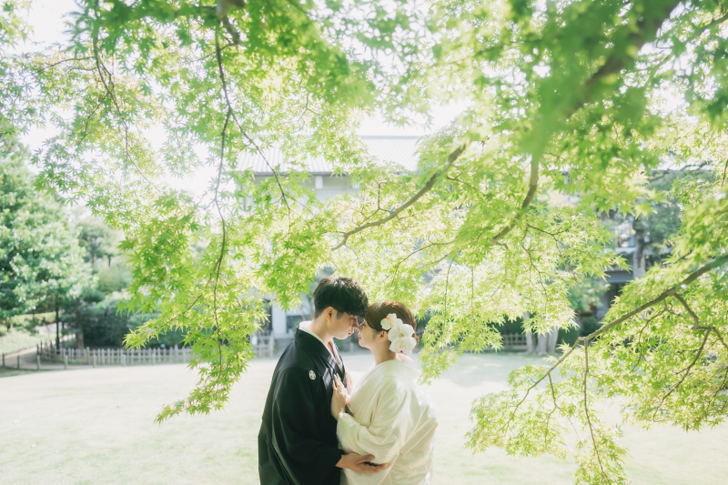 Sereno by Studio Blue