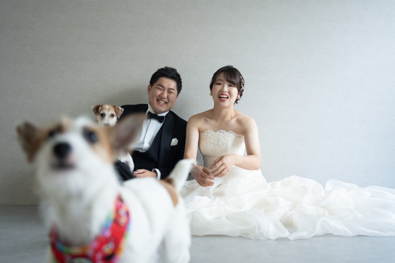 Sereno by Studio Blue_ペットと一緒に撮影できる