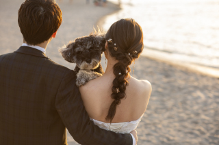 ペットとの撮影