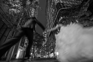 オープニングムービー（プロフェッショナル）