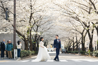 Sereno by Studio Blue_▻▻日本橋・銀座◅◅