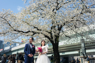 Sereno by Studio Blue_▻▻日本橋・銀座◅◅