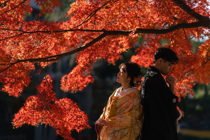 【先得・紅葉】90日前割引!【和装(庭園)&洋装ロケ】スタジオ撮影&2着目着物 《土日追加無料》◎264500円→192500円