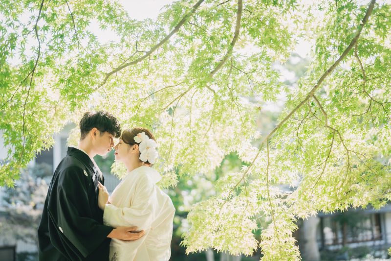 【美肌痩身補正付】6月末まで！和装(庭園)＆洋装ロケ｜スタジオ&2着目着物無料｜《土日追加なし》264500円&rarr;198000円