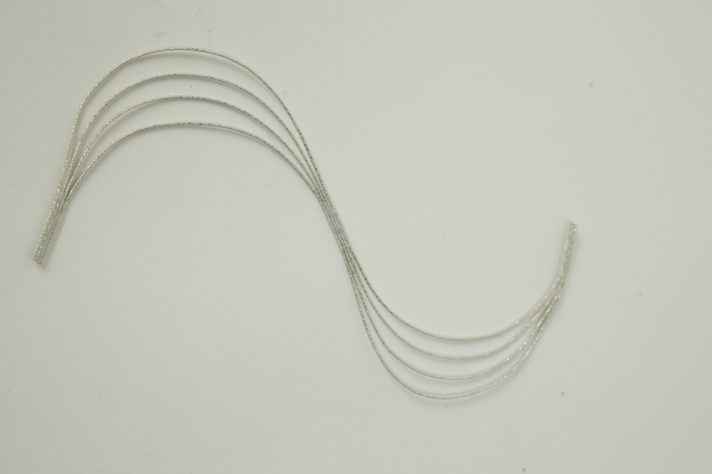 GI2_0145