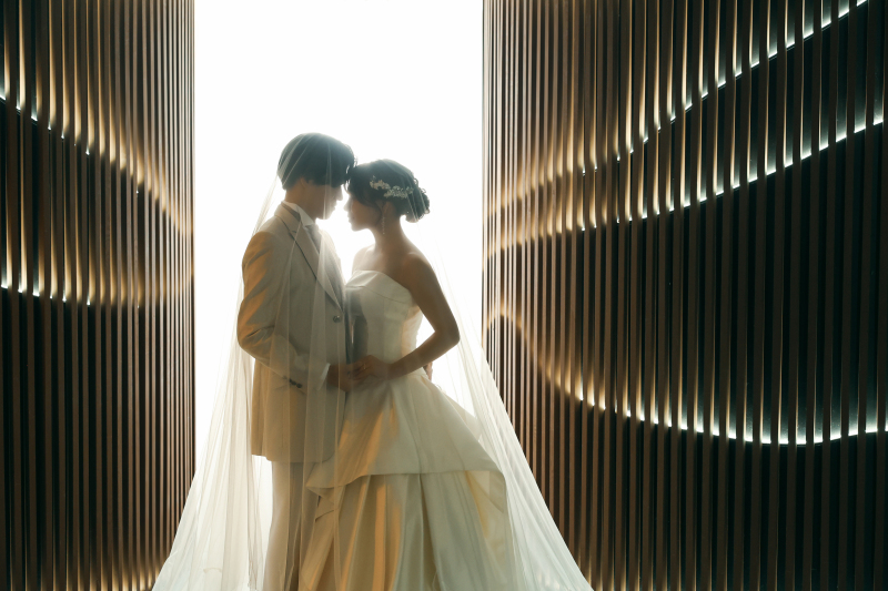 ベールインショット