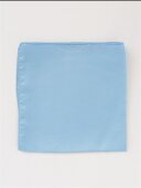 [新潟]ｶﾗｰﾁｰﾌ/ﾗｲﾄﾌﾞﾙｰ 