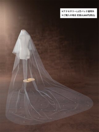 新潟CV581 L60-300/OW