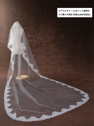 [新潟]CV163 L60-300/OW 