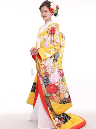 色 ﾌﾟﾗﾝ衣裳(黄)