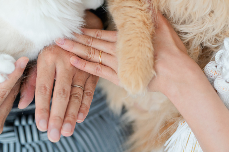 みんなのおてて