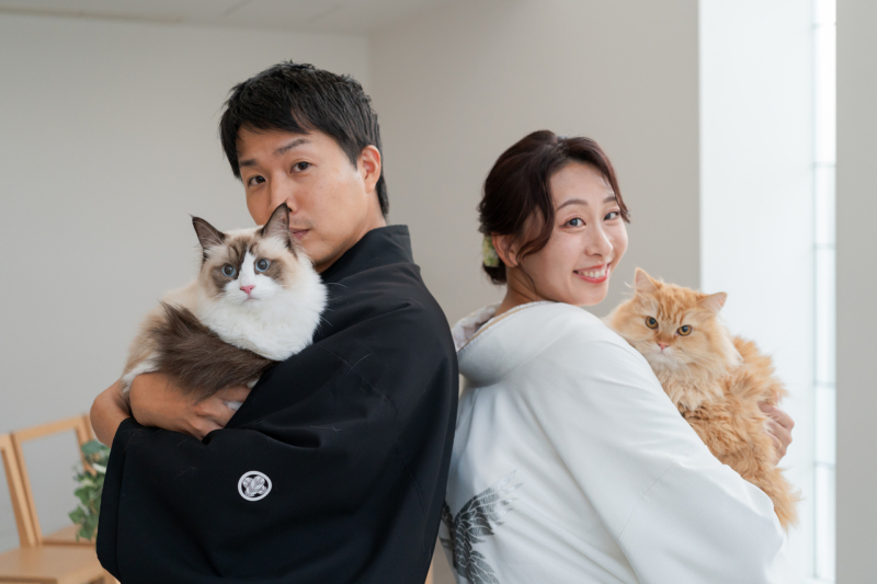 もふもふにゃんこファンタジー♪