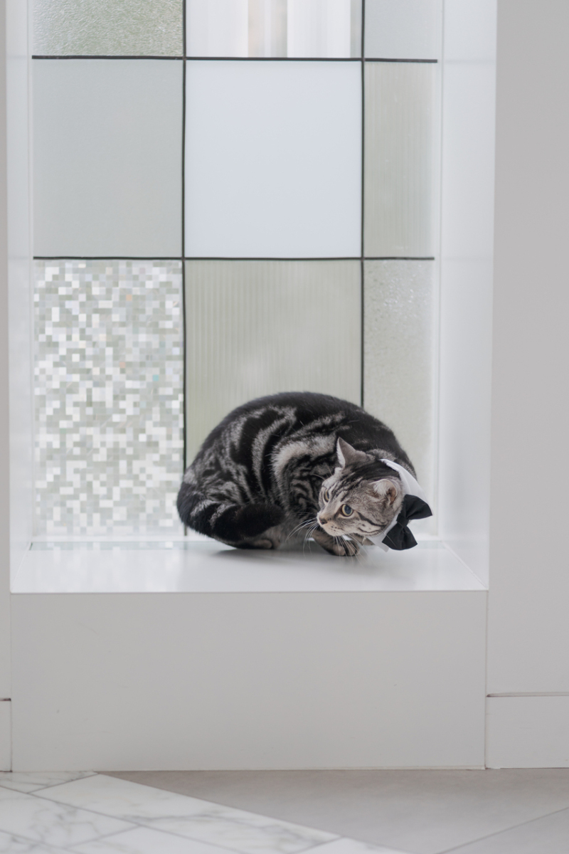 ひょっこりもみじ君