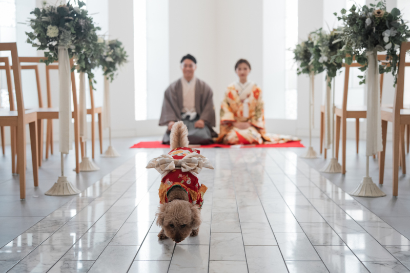 走り出すころもちゃん♪