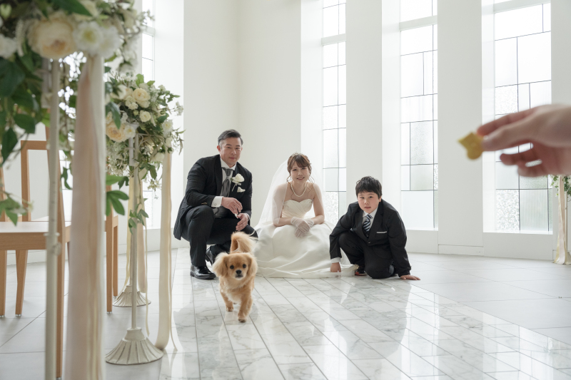 ワンちゃんの動きに合わせて・・・