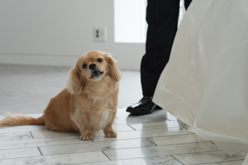 そこにいるだけで癒されますね♪