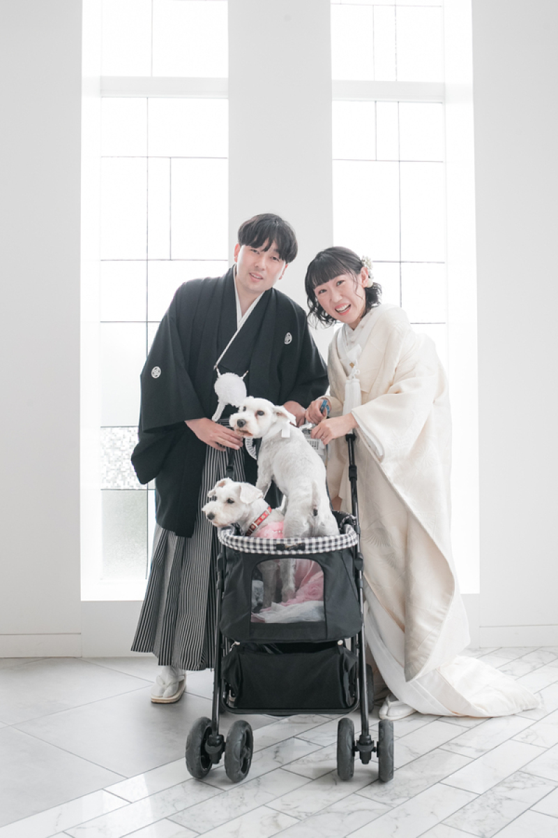 愛用のキャリーでもバッチリ撮影