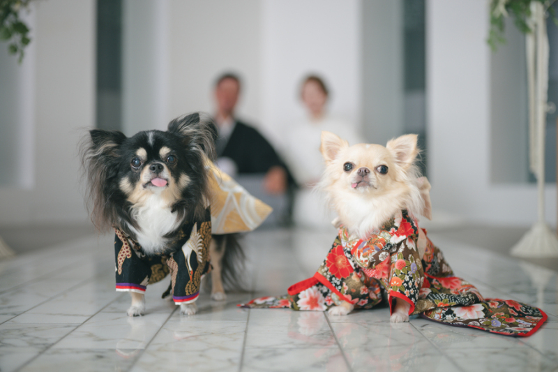 一緒におめかし♪