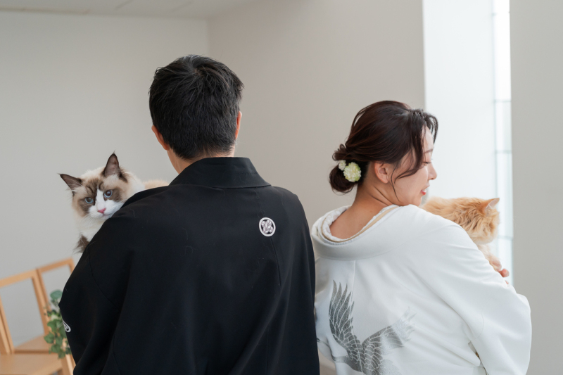 ちょこんと顔を出すにゃんこたち