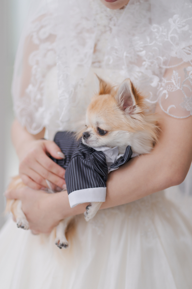 甘えん坊のビス君