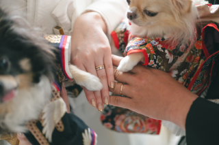 小さな結婚式 新潟店_ペット