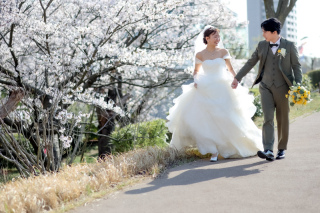【桜・春フォト】桜並木のロケーション+チャペル/スタジオフォト