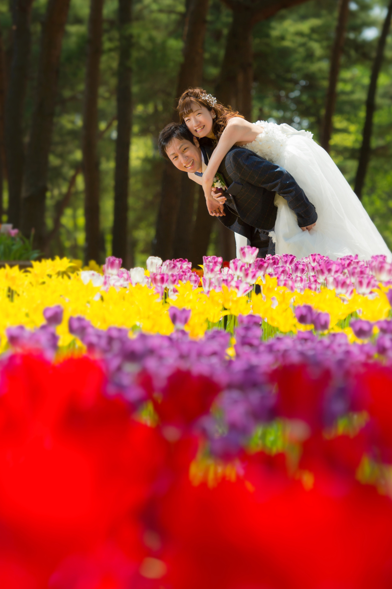 カラフルな花畑