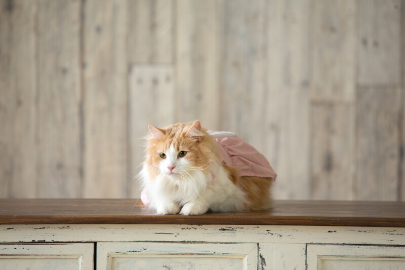 ご相談はお気軽に♪