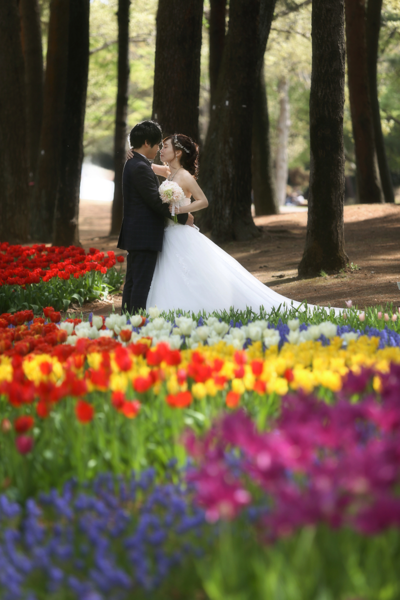 彩りに包まれて