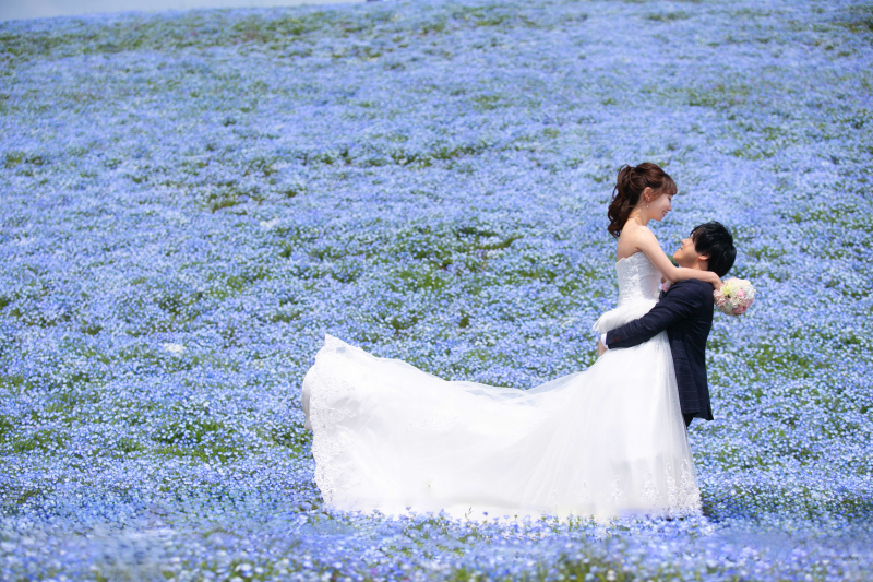 花の海に包まれて